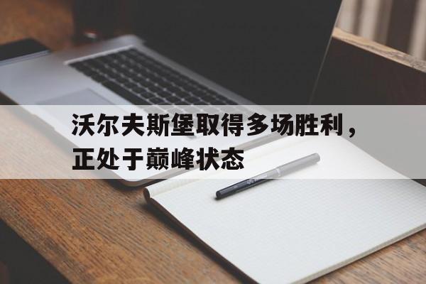 沃尔夫斯堡取得多场胜利，正处于巅峰状态的简单介绍