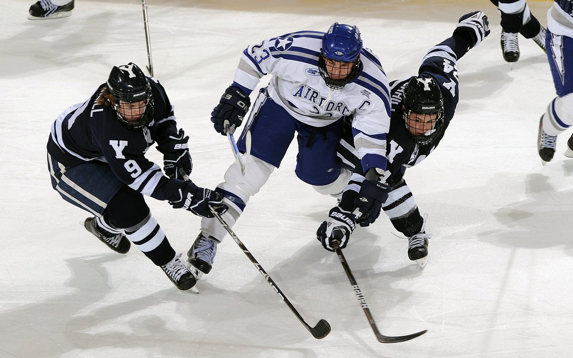 掘金不断突破!穆雷连续七场比赛得分超过刷新纪录热度持续攀升